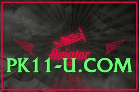 pakjeto v3.1.0 PK Screenshot