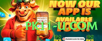 bn55 VIP PK Screenshot 3